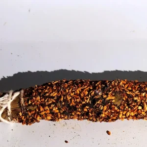 SAHUMERIO PALO SANTO Y MIRRA