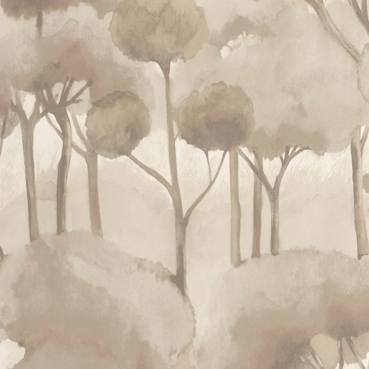 Foret des landes - Imagen 6