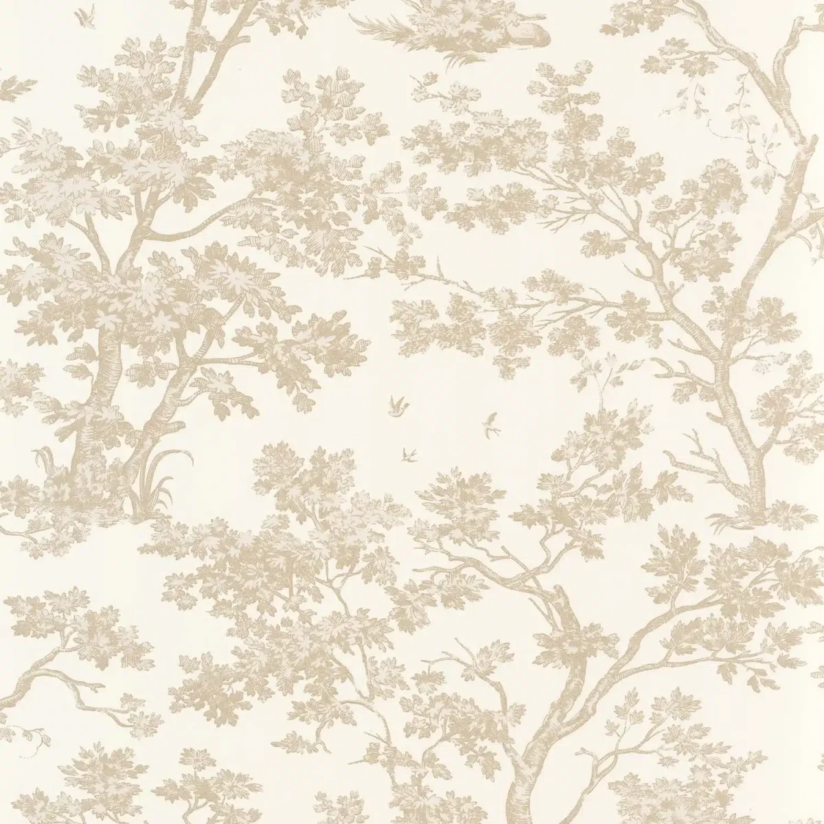 Arbre - Imagen 4