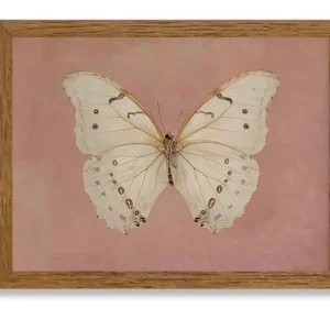 Cuadro Decorativo Coral Butterfly