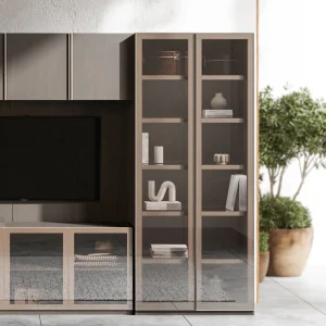 Visual Bookcase with Door