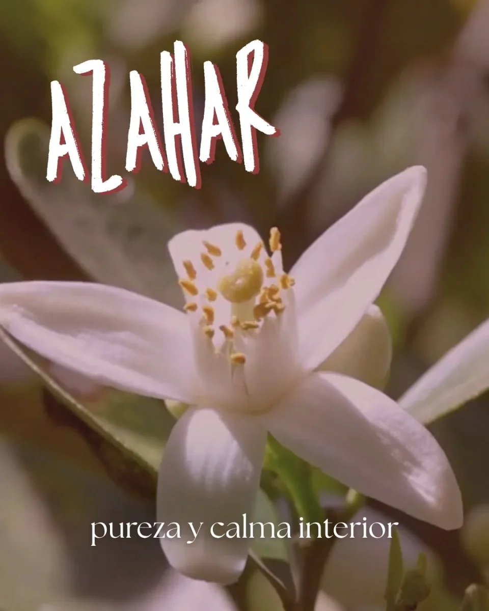 AZAHAR PERFUME DEL ALMA - Imagen 4