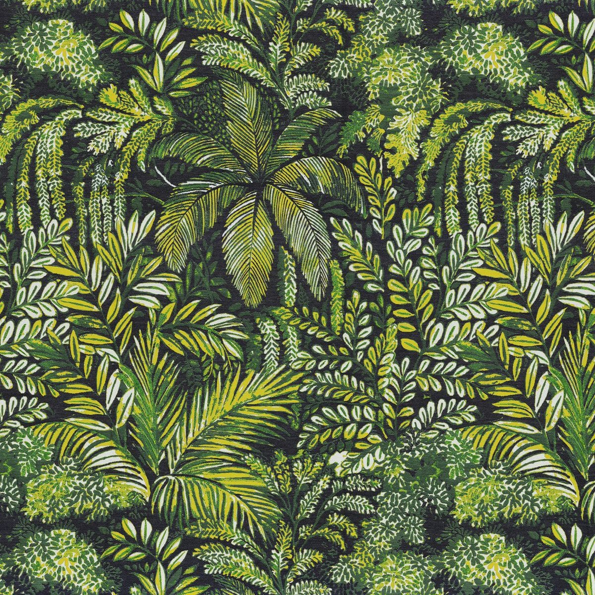 PARFUM D’ÉTÉ - Imagen 4