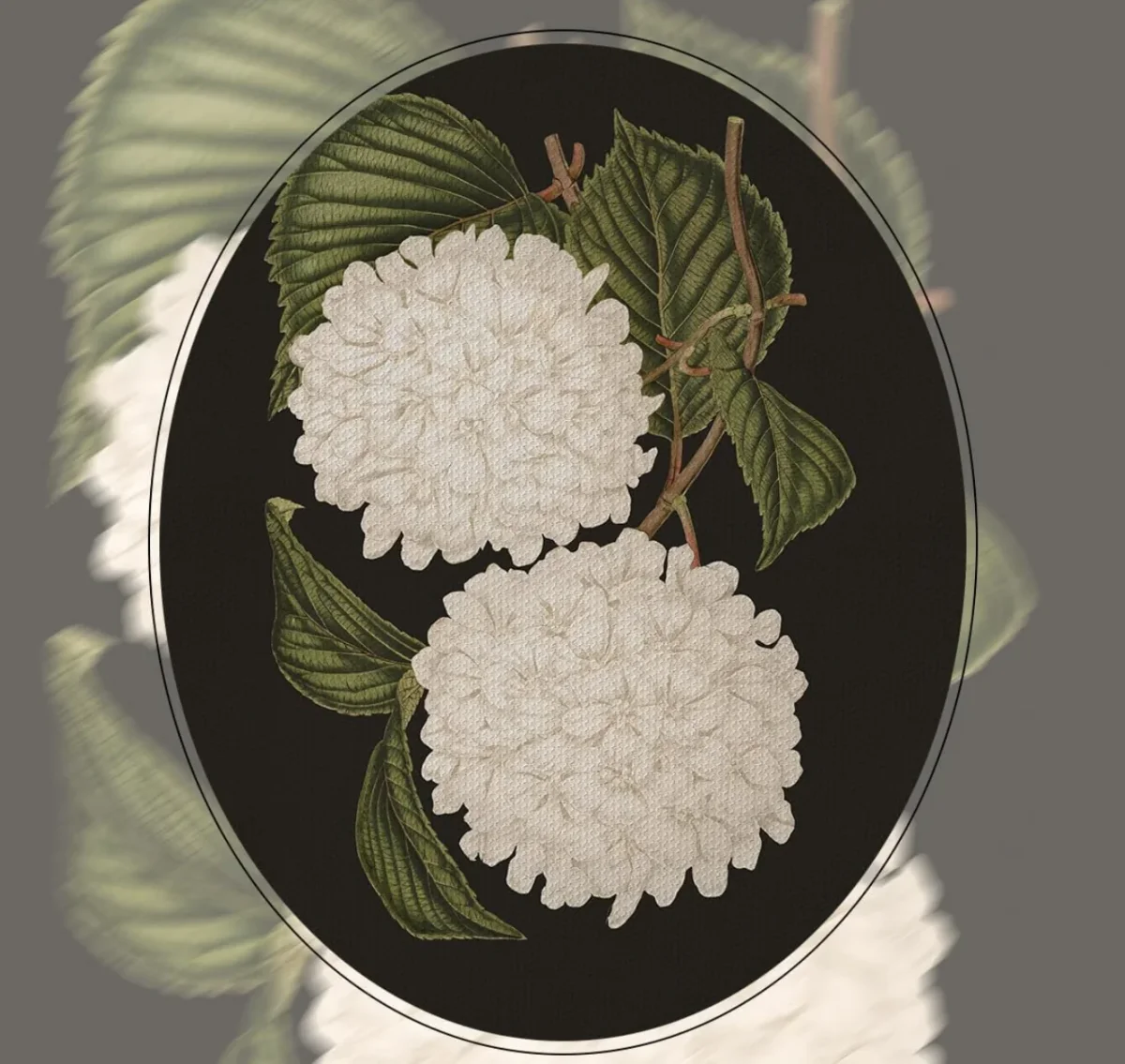 Cuadro Decorativo Hortensias - Imagen 6