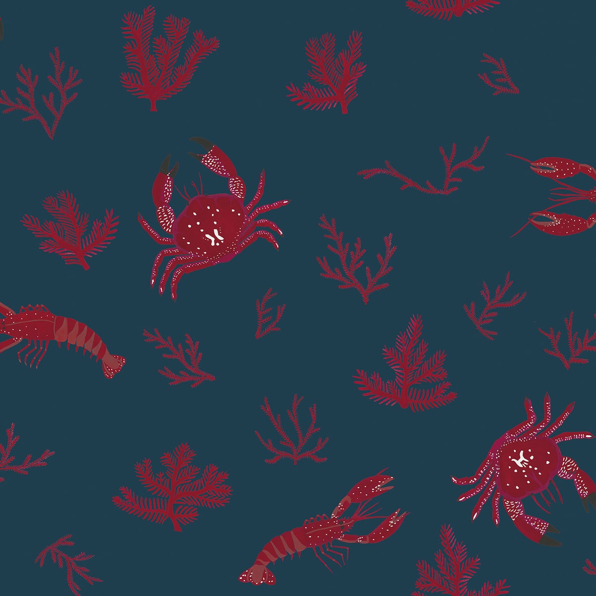 CRUSTACEOS - Imagen 4