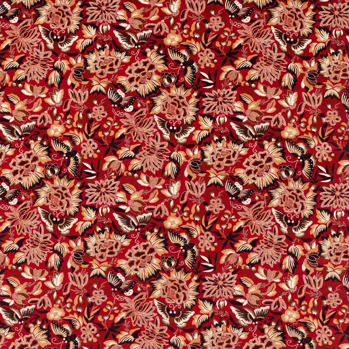 AMARA BUTTERFLY - Imagen 4