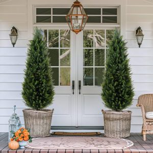 Set De 2 Arboles Topiarios Cedros