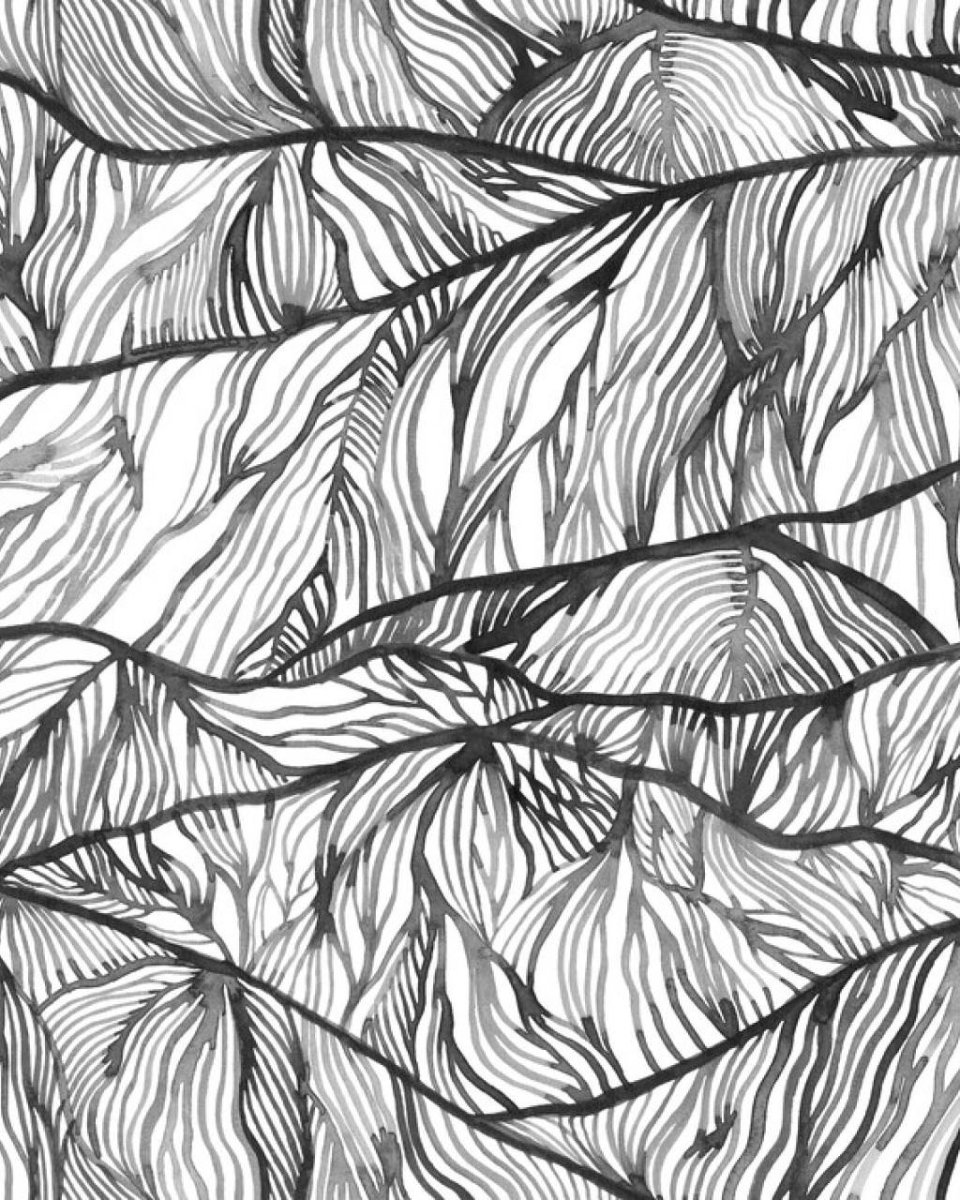 FLOW-W - Imagen 4