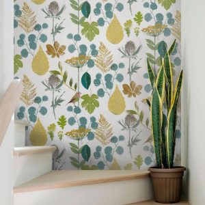 HERBARIUM