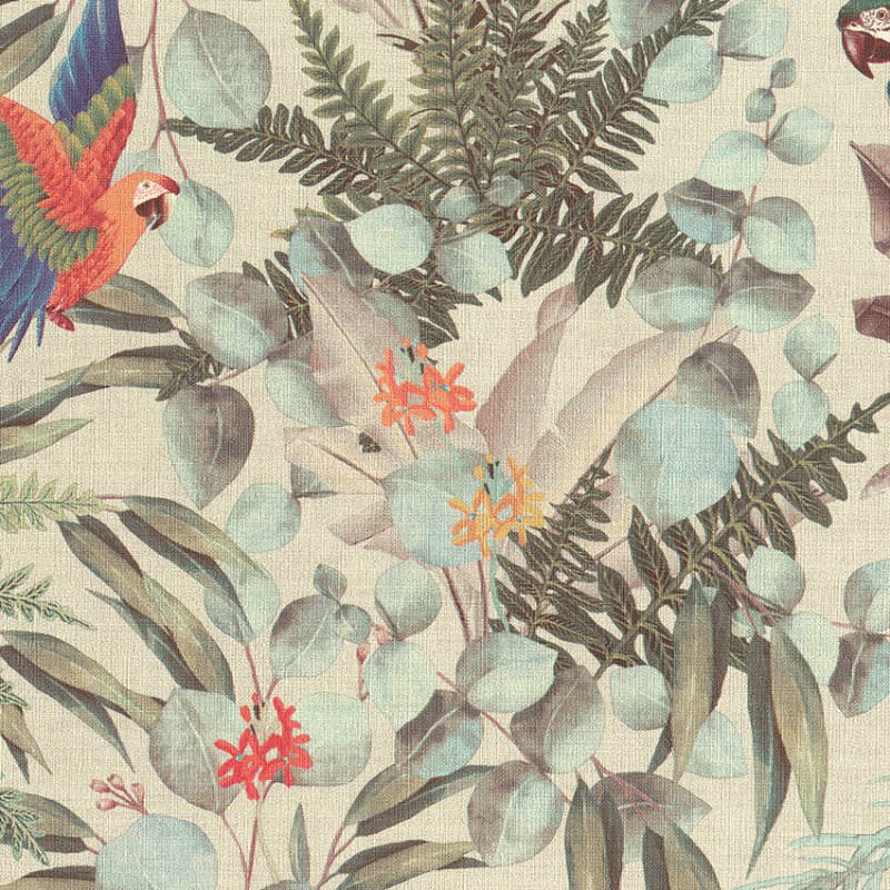 PARROT - Imagen 5