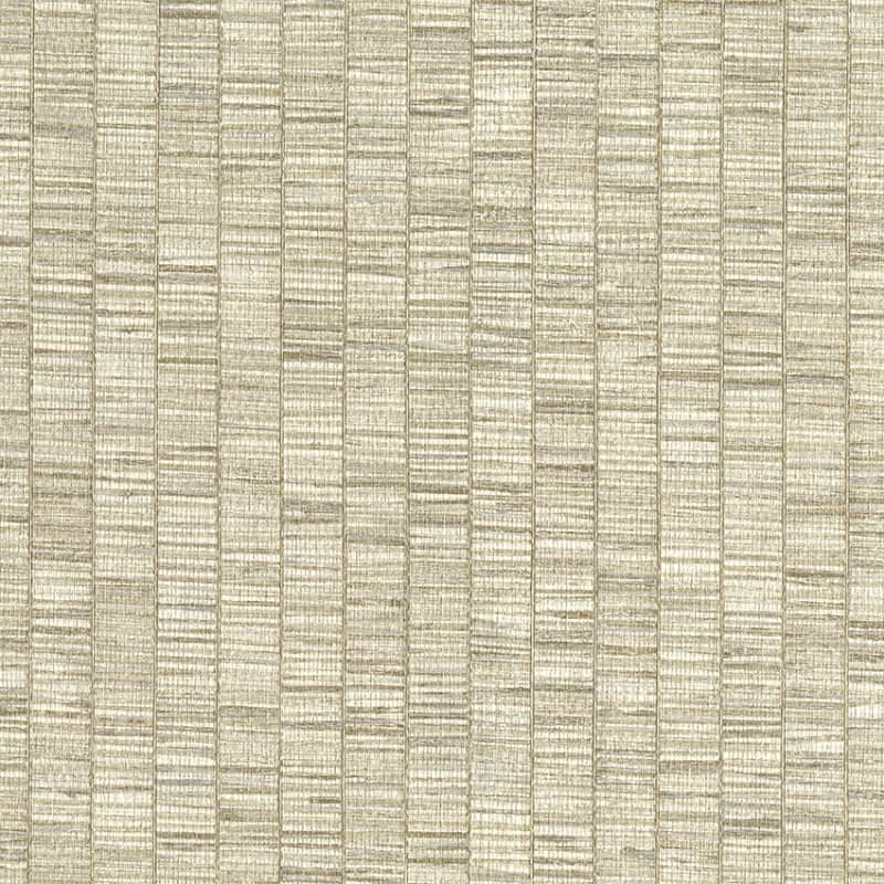 RIBBON GRASS - Imagen 4