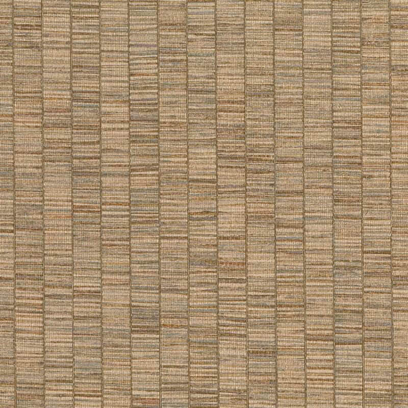 RIBBON GRASS - Imagen 9