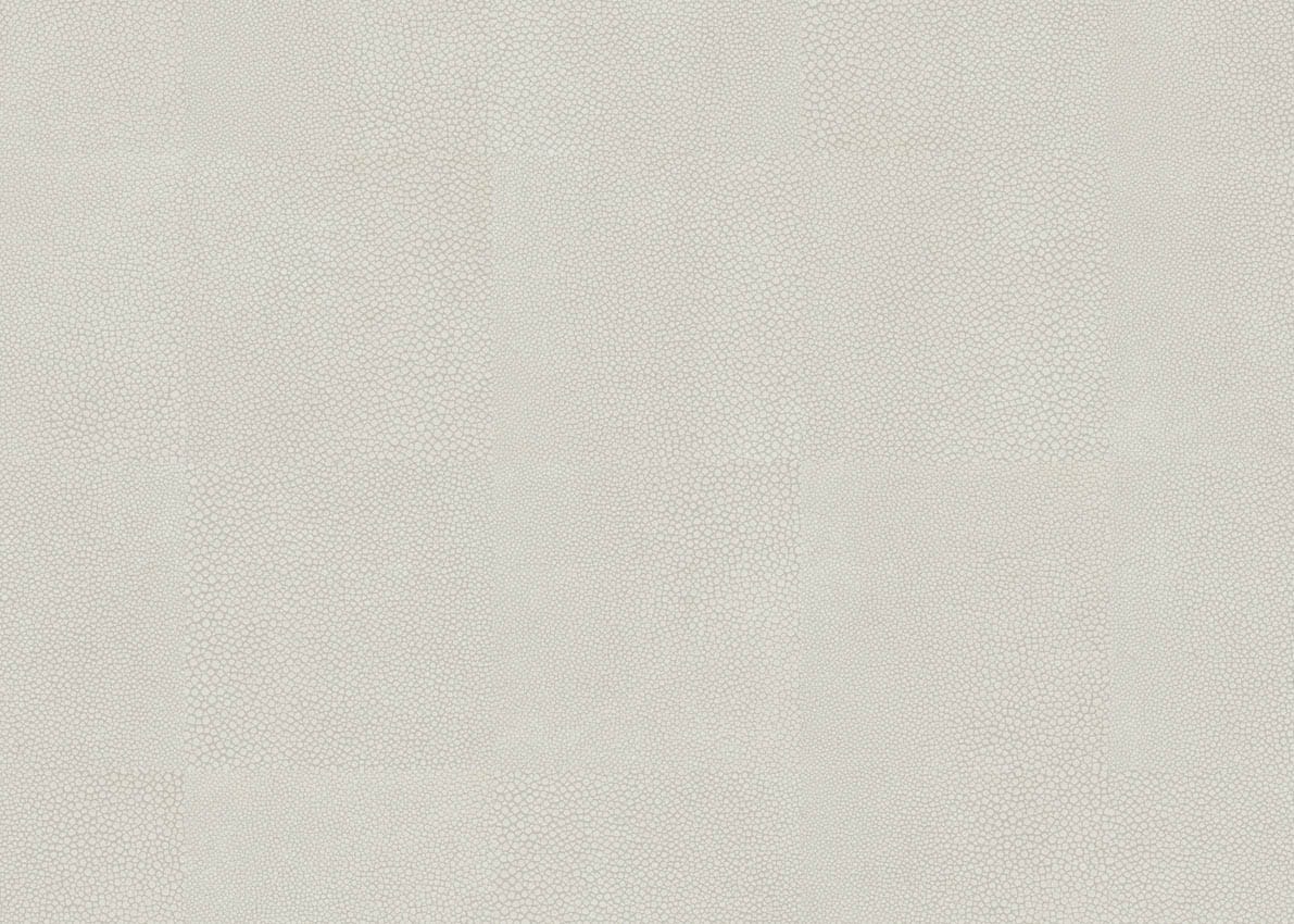 MONTMARTRE - Imagen 3