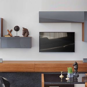 TV Unit 13