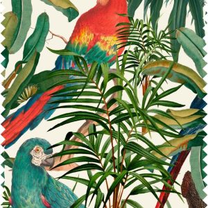 PARROTS OF BRASIL-FB00008