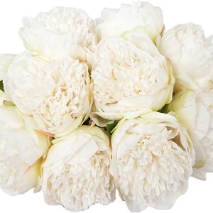 Peonias