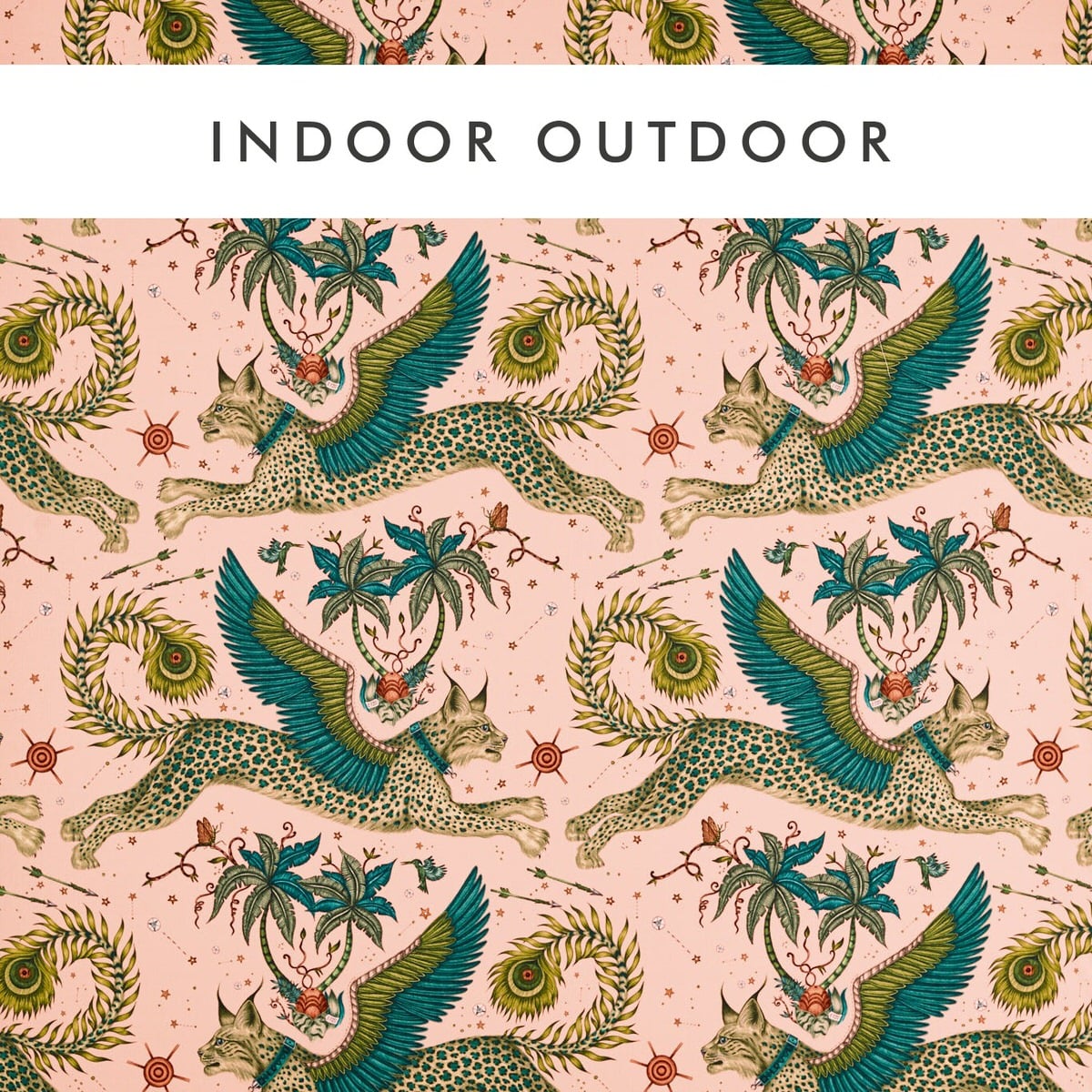 Lynx Indoor Outdoor - Imagen 5