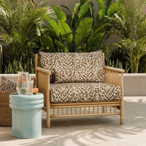 Felis Indoor Outdoor